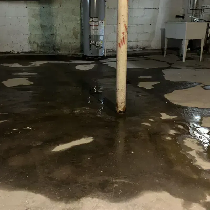 Emergency Water Extraction And Removal in New Square, NY